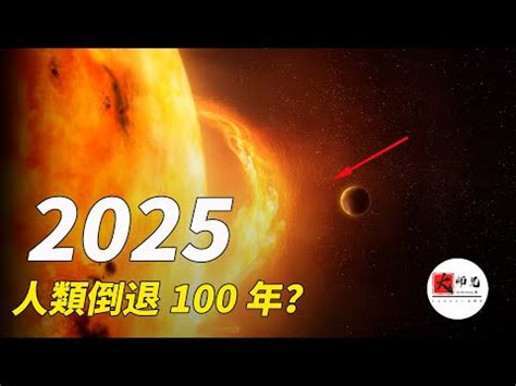 2025 什麼年